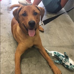 Meet your Posher, Avery